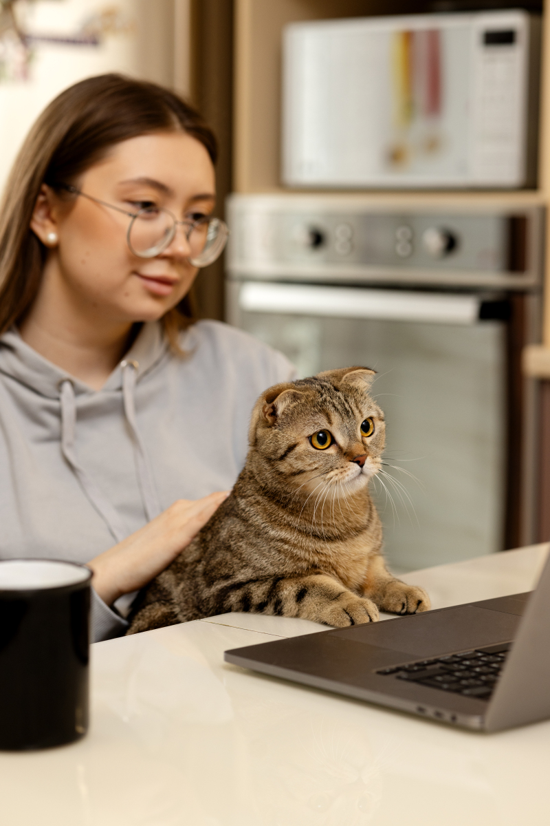SanJoseyVM's tweet photo. Spilled morning coffee on my laptop mid-presentation. The whole room went silent… until my cat’s face popped up on the screen—he must’ve stepped on the keyboard while I was in the bathroom. Office chaos turned into the best icebreaker ever. #WorkWin #OfficeLife https://t.co/Yux3JrZVJX