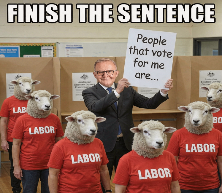 AussieFC's tweet photo. What do you call a person that votes for Anthony Albanese? https://t.co/2IvLHWXwSh