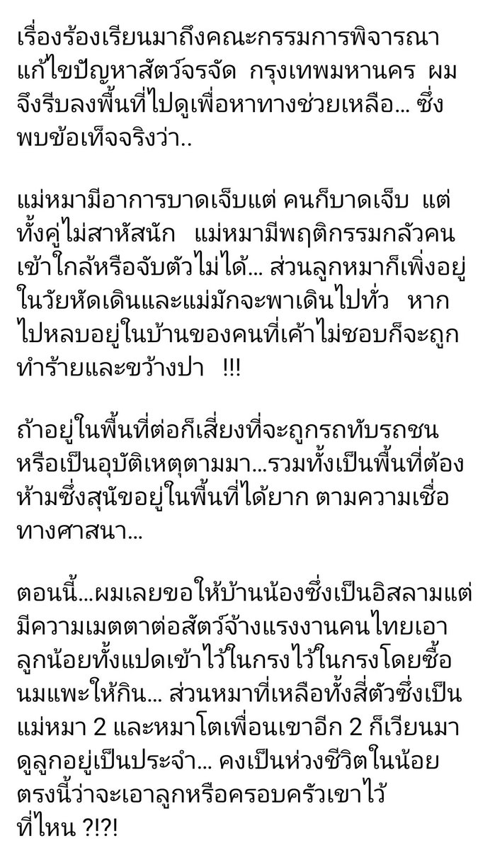 BBnubDAO's tweet photo. ขออนุญาตมาแจ้งในแท้กนี้ด้วยนะคะ จากเพจ The hope Thailand  

ใครสนใจและพร้อมอุปการะน้องๆ ติดต่อทางเพจได้เลยนะคะ 🙏🏻

https://t.co/MuysWV5ON2

#แมวหายบนรถไฟ #น้องหมาหาบ้าน #หมาหาบ้าน https://t.co/lCzACSZdBK