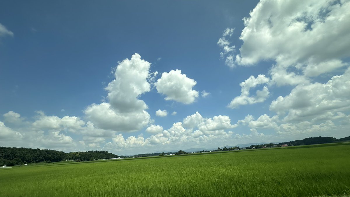 zero023 tweet picture