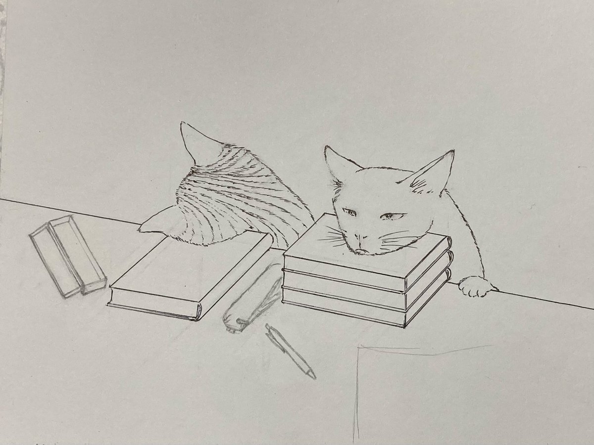 akapurin219271's tweet photo. #世界猫の日 https://t.co/SBlaX2jfLK