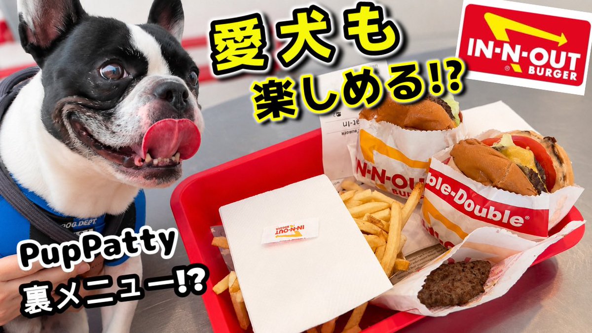 muta_muta116's tweet photo. YouTube公開しました！
ムータもついにIN-N-OUTデビュー
大人気IN-N-OUTに愛犬も大満足🍔LAで絶対外せないハンバーガー店 https://t.co/nbqoa9B1s1 @YouTubeより https://t.co/VOvDgmbxva