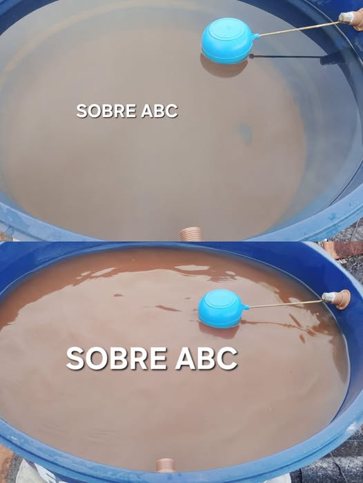 oldbagbrown's tweet photo. É só privatizar que melhora.
Olha como a água da @sabesp está chegando nas residências do ABC.
E depois eles querem nos convencer que o melhor mesmo é privatizar tudo.... https://t.co/MawCDfPL6d