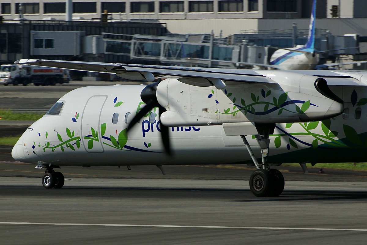 ayamaru_c27's tweet photo. おはようございます(*ᴗˬᴗ)

風は弱まり今朝もいいお天気☀️
お盆休み？通勤道はガラガラです🚙✨️

台風は迷走中なんですかね🌀
沖縄に友人が居るんですが
何とか耐えてるって言ってました🥺

暑さに気をつけて
今日もfight(*˙˘˙*)و⚑⁎∗です

8月8日葉っぱちゃんの日🌿 https://t.co/apKNZO3LkI