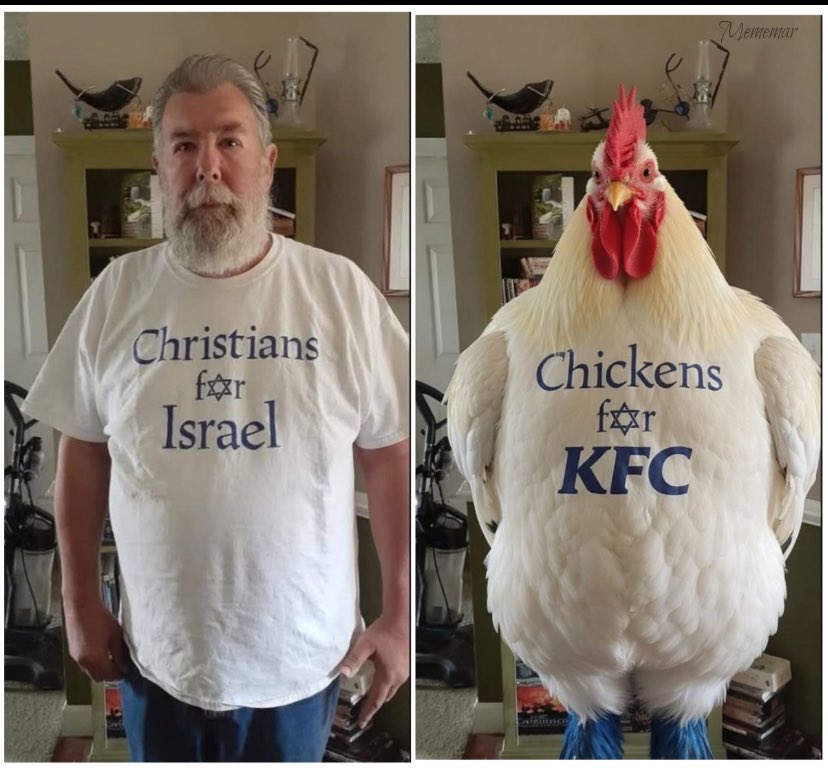 6ixstringstudio's tweet photo. @MattWalshBlog You have your boss and these Zionist Jewish supremacist pigs to thank for this btw They convince these brain dead Zionist Christians that we’re friends with that 
“Judeo-Christian” slop. When in reality they hate Christians and are doing anything to destroy white culture. https://t.co/brOSuKDOPX