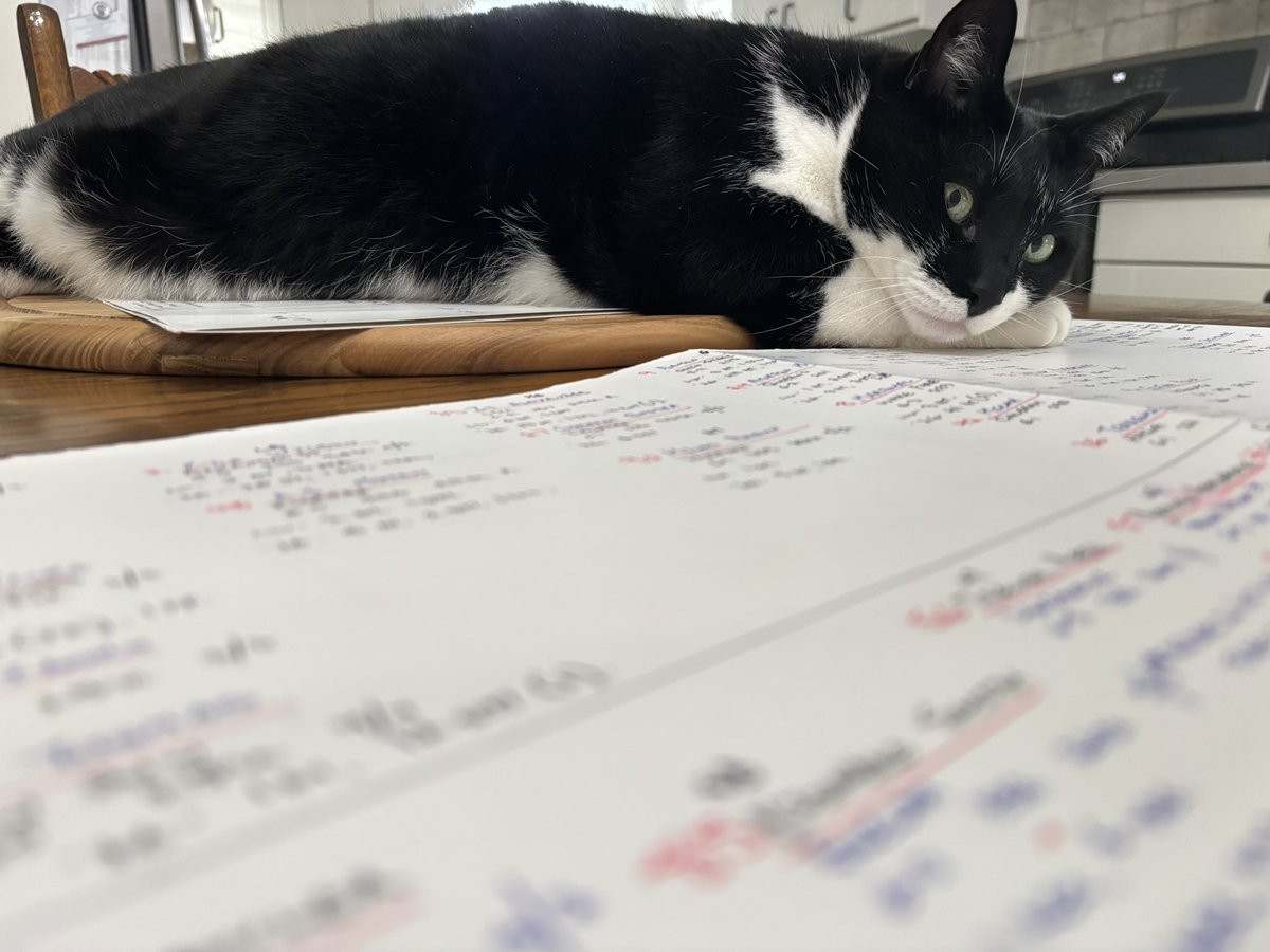 rickzamperin's tweet photo. Okay Gus… who’s winning on Saturday? #Ticats #BCLions #CFL https://t.co/OvfEwTZlC3