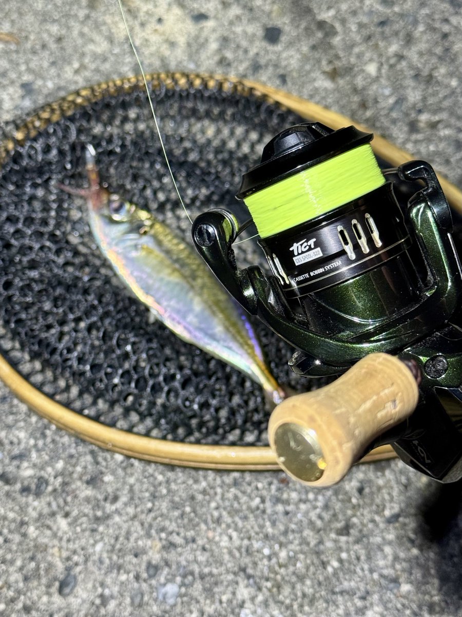 fr_chopper's tweet photo. 18カーディフ＋TICT CBSスプールに無事入魂🎣
我ながらグリーンがやっぱカッコイイわ✨
お気に入りのタックルで釣るとテンション上がるね👍😍

#INXlabel 
#インクスレーベル
#ヴェスパーダ
#ゼイゴー
#PR https://t.co/aUJ0KKnhFW