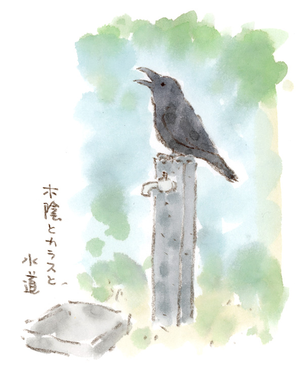 hoccoridesign's tweet photo. 猛暑日、畑の脇の木陰にカラスが一羽。いかにも暑くて喉が渇いたぞーって感じで口を開けて、水栓柱の上に止まっていました。水が出る場所だと分かっているんでしょうね。ちょっと可愛そうでしたが、次の日は雨でしたので、カラス君もどこかで水を飲めたと思います。
#カラス #猛暑日 #絵日記 #ほっこり https://t.co/bjbyPP9lkz