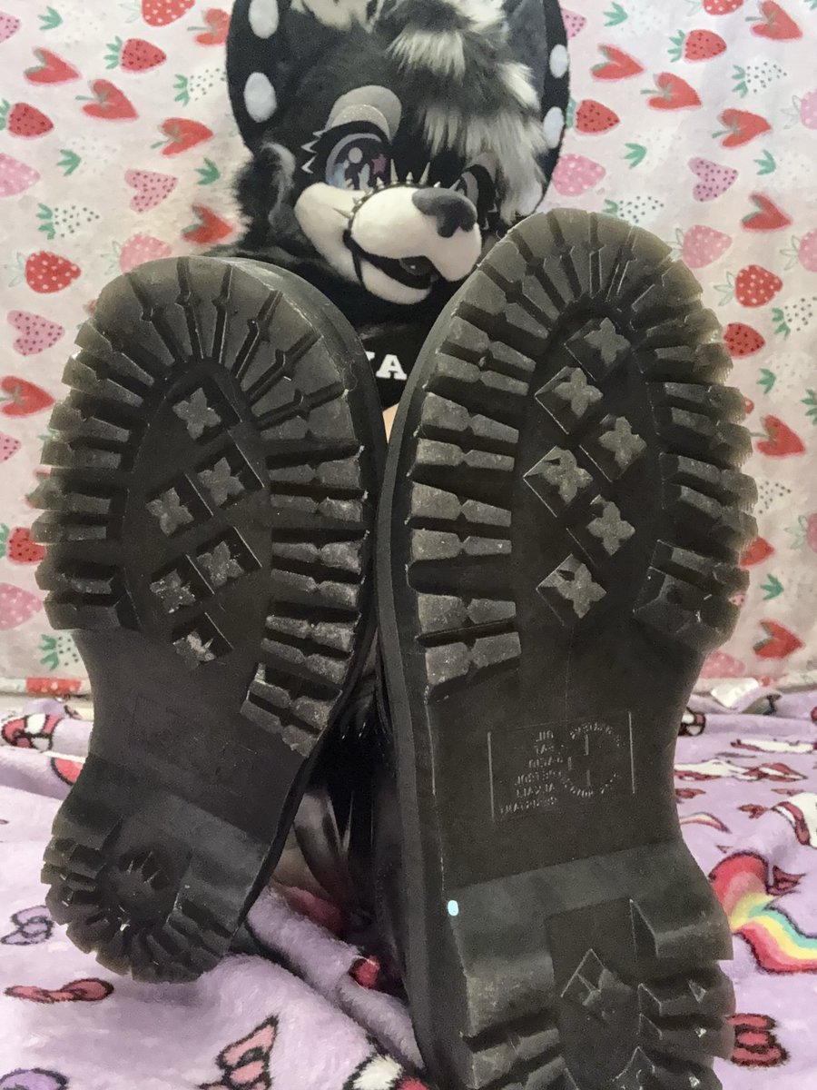 maxineethemutt's tweet photo. Do any of my puppies like boots ? https://t.co/k8JNMHdBCn