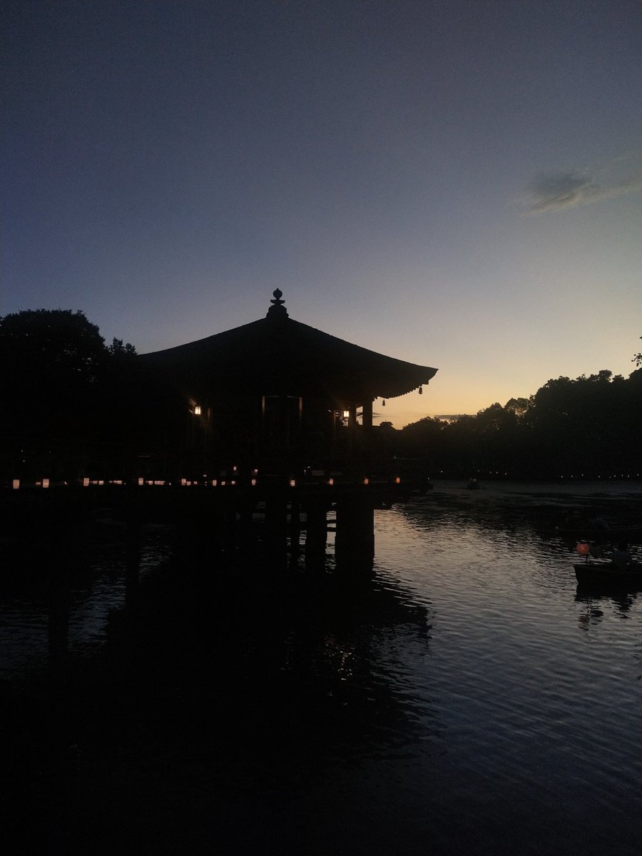 alluptome_0's tweet photo. なら燈花会🕯️
浮見堂会場。

撮影日📸　2026年8月7日（金）

#なら燈花会 https://t.co/RdjrJwgPKS