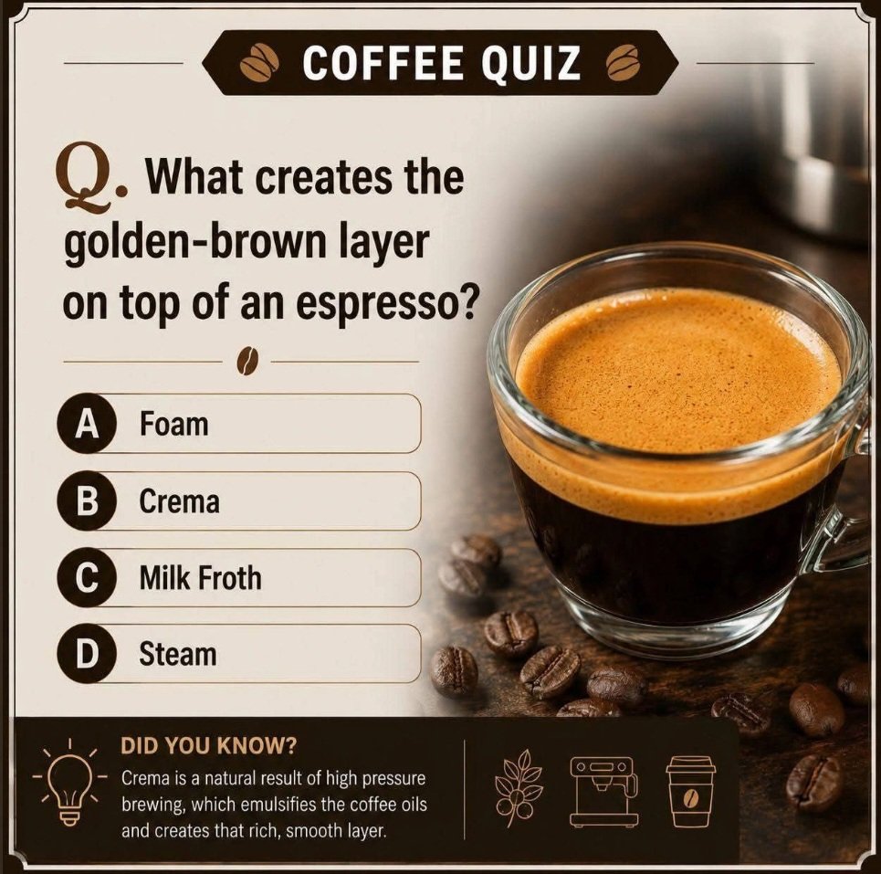 WyigGroup's tweet photo. #Espresso 
#BBNaija https://t.co/PMZGgjHxFJ