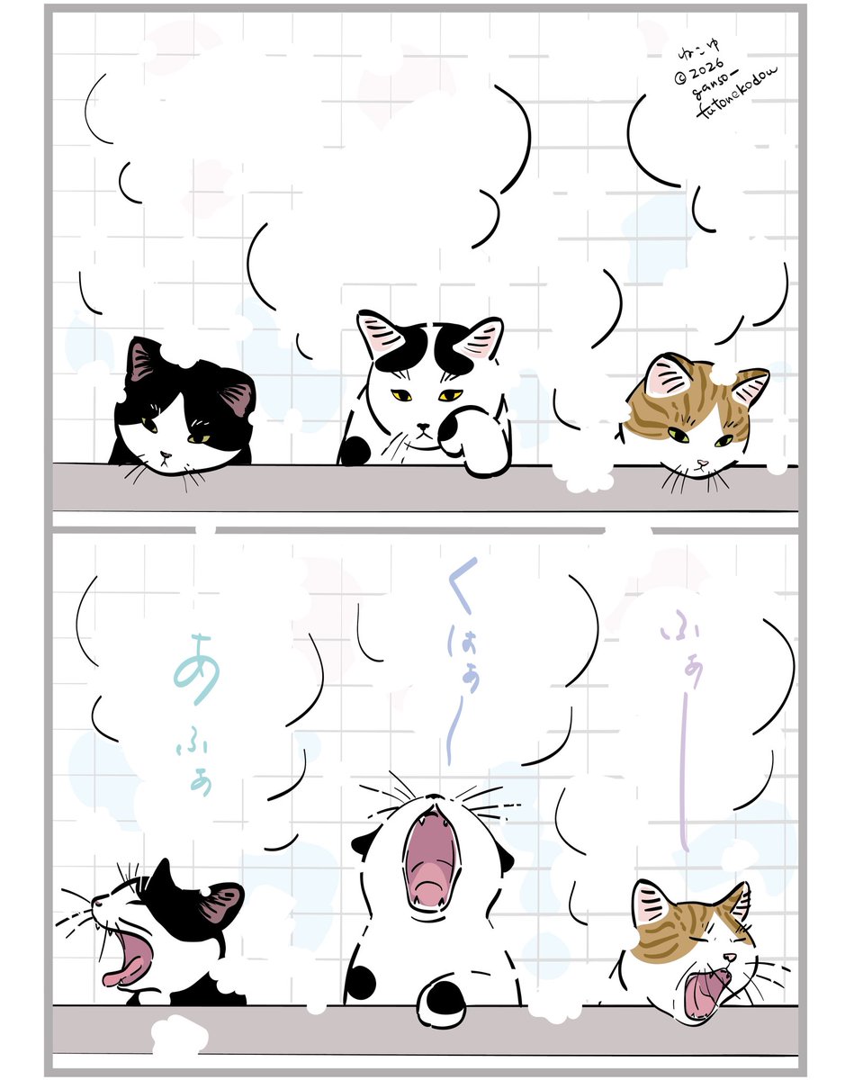 mojugiso's tweet photo. #世界猫の日
　
猫たちが安心して暮らせますように https://t.co/BqGoGaOCoX