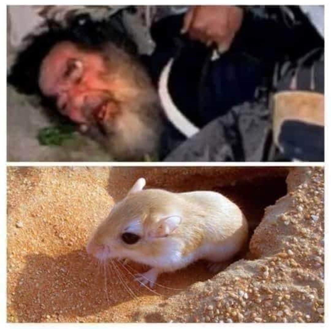 qjp60's tweet photo. @ALMUHEB_39 😂😂😂😂😂😂😂😂😂😂😂 https://t.co/41jejMAVho