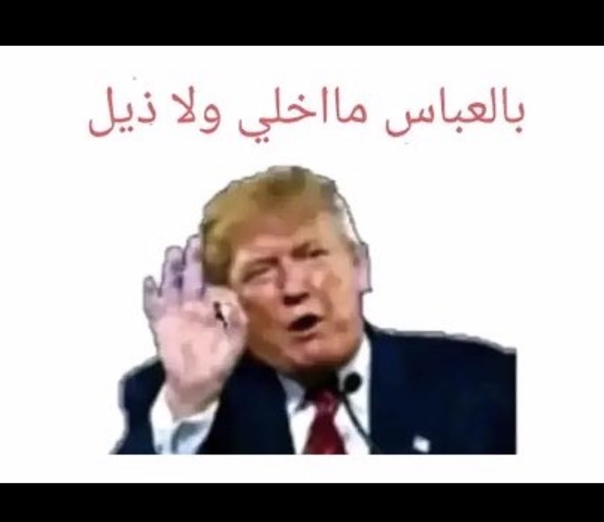Zaidzqu0's tweet photo. @Ali313Ali12 https://t.co/WmpE9ENHG8