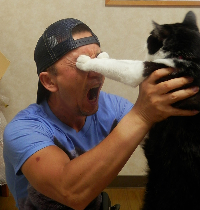 bokoyai's tweet photo. さあ。お約束の
今日は世界猫の日ぃぁあああああああああああ！！

 #世界猫の日 https://t.co/mkTK2zZybq