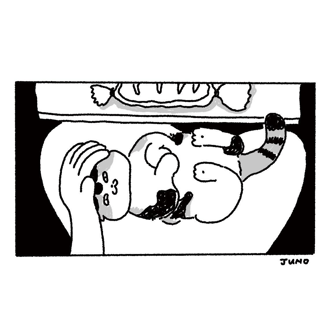 xmenjunoAppJP's tweet photo. 🥖
 #イラスト #猫 https://t.co/Og1hOFQfAn