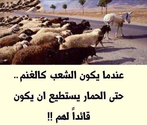 Nabila39717251's tweet photo. @haidy_zida https://t.co/5CBdArPyyS