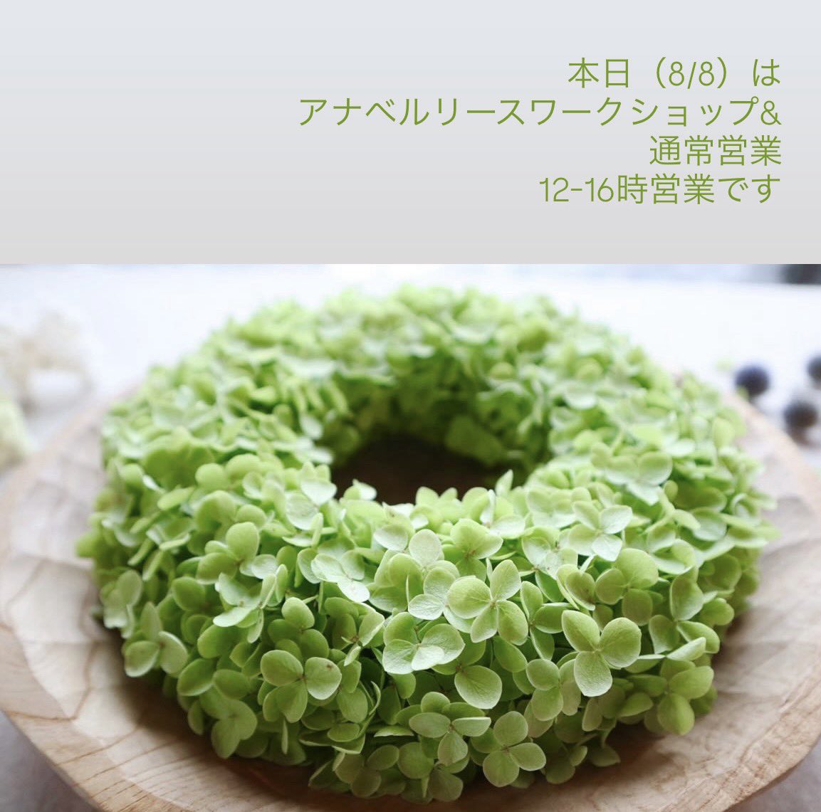 本日8月8日（土）は yyflowerさんによるアナベルリースワークショップ