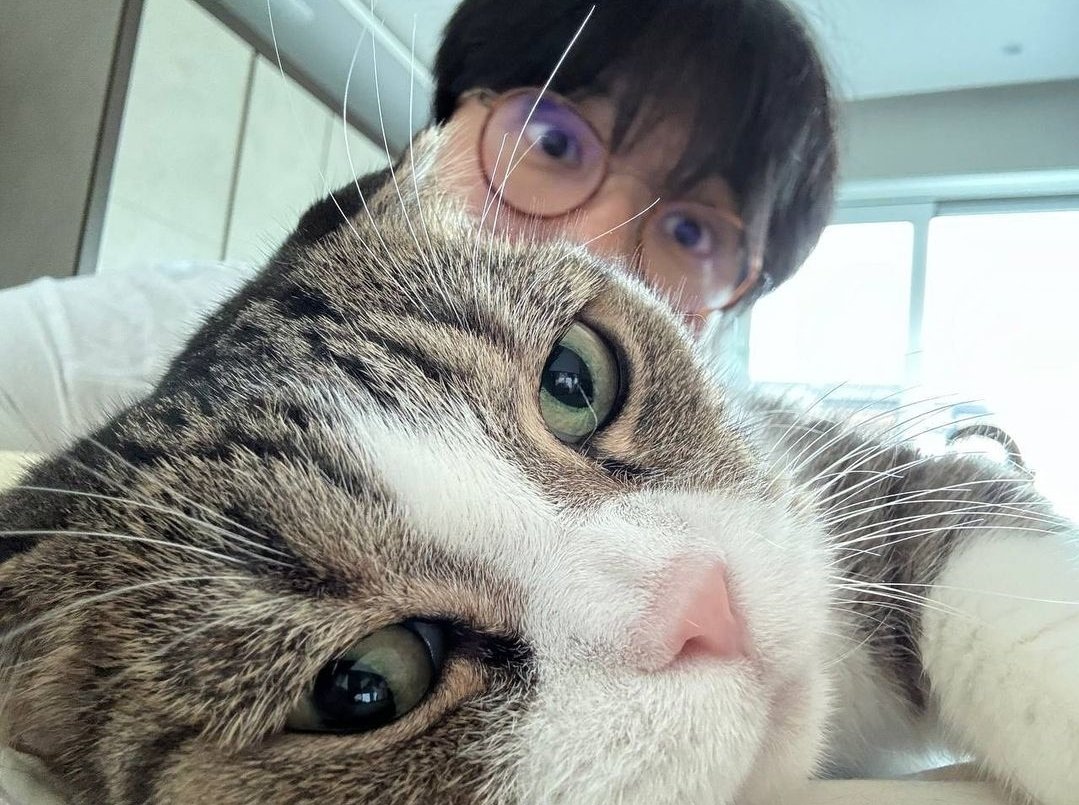 800313N's tweet photo. (큰)아기와 아기가
영원히 행복하고 건강하길 
 ☘️༘⋆₊⊹ ʚ 🐈‍⬛🐿 ɞ ⊹˖ . ݁𓂃⋆｡˚

#세계고양이의날 https://t.co/EWriHZ1dCF