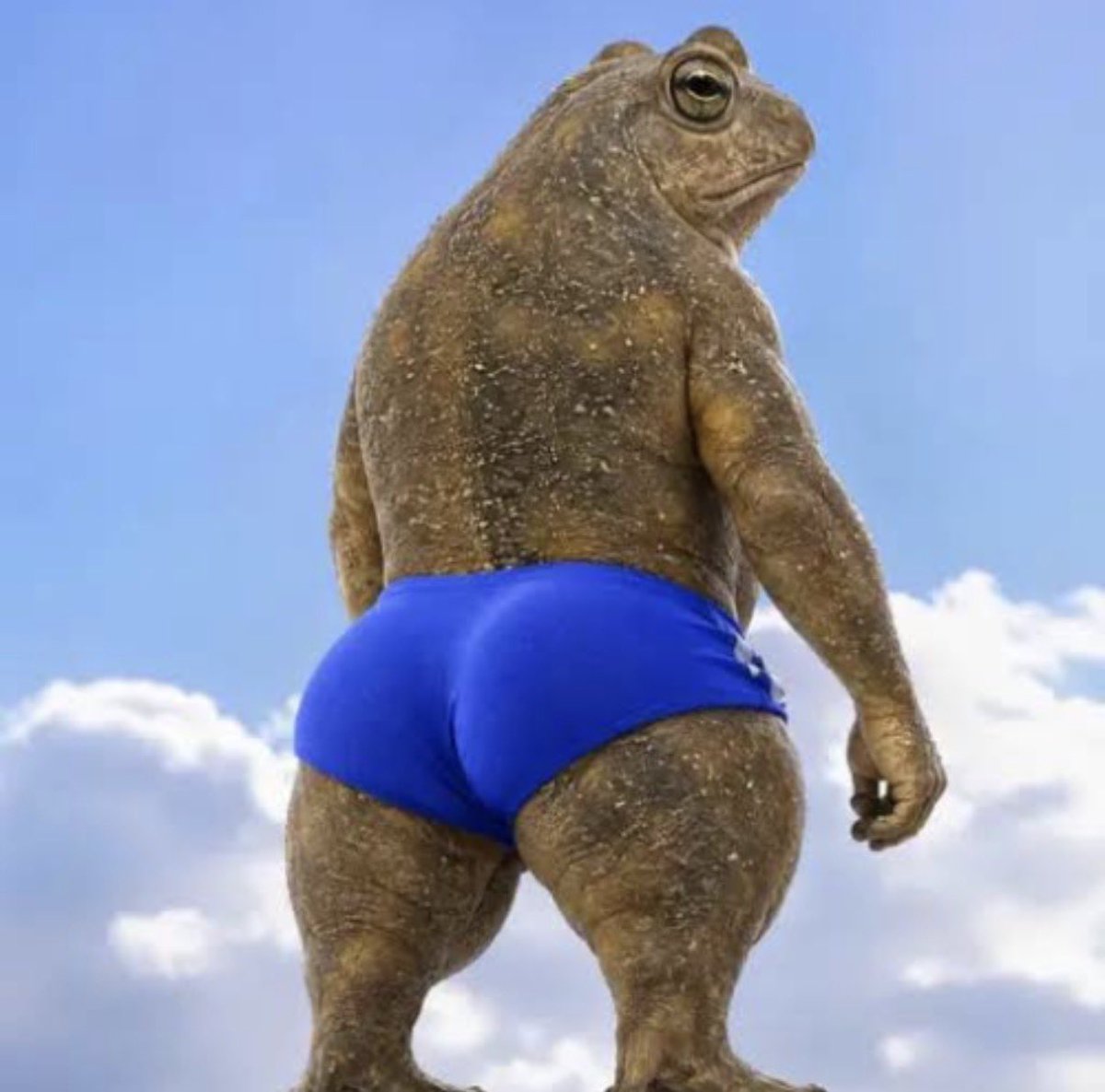 frogbuttpump's tweet photo. @TheMisterTurtle this you, mr. Frigga? https://t.co/YX7QHWiCVr
