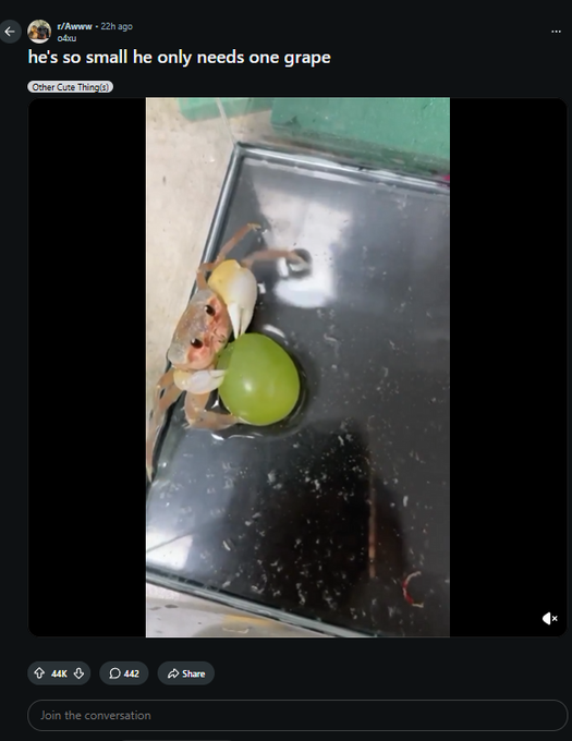 dv44444444's tweet photo. everyone knows the   

"he so small he only need..." memes    

+44k upvotes in under a day  

is this not funny  

$GRAB Grape Crab

https://t.co/gykmTEUbQU https://t.co/soeBclwLRd