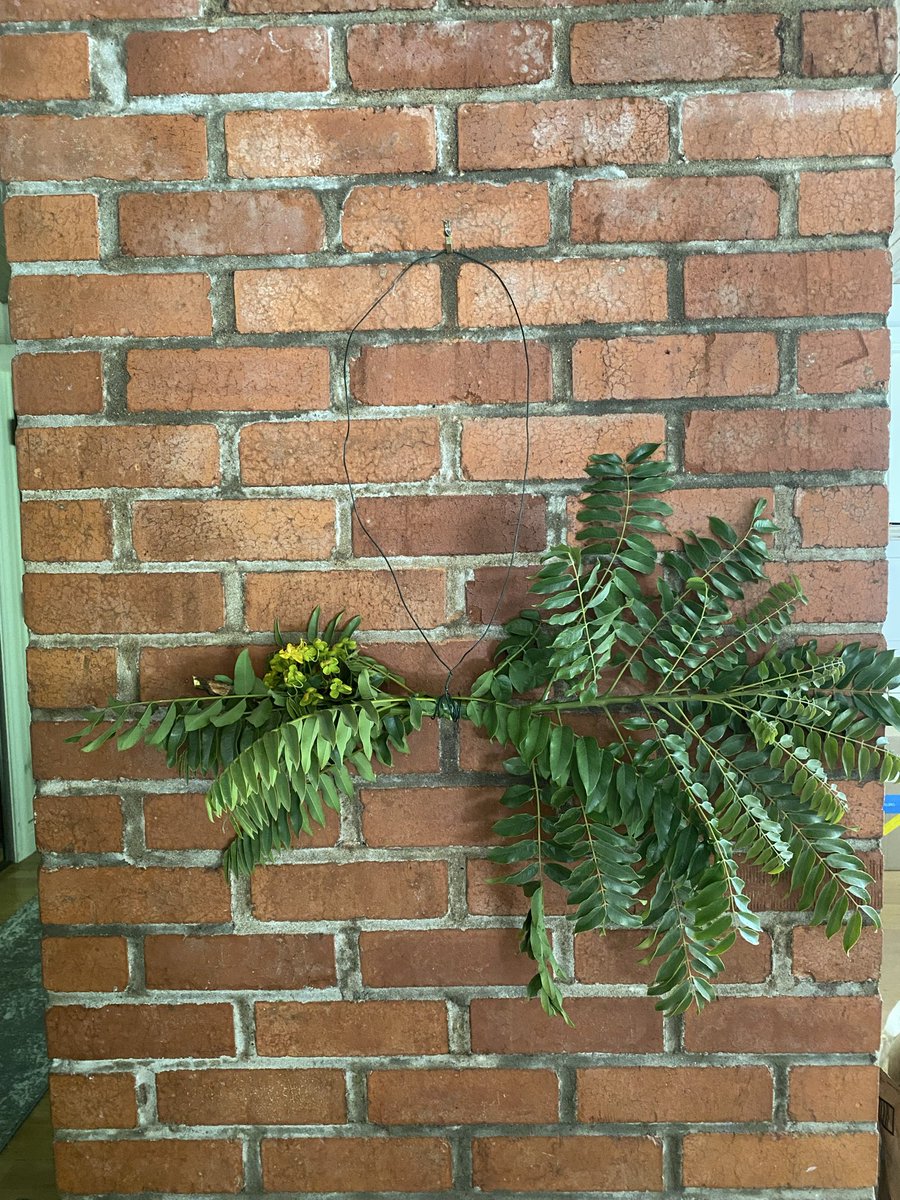 cornichonsgrrrl's tweet photo. Today I ate a bagel with a tomato grown by my coworker and made a amateur floral arrangement with branches I pruned off a gold medallion tree https://t.co/QElWd0o7Nv