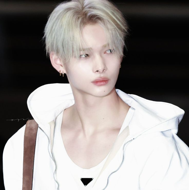 everdives's tweet photo. saw someone saying kpop idols with bleached eyebrows is not hot like bffr look at this work of art https://t.co/1KqGkVnTEL