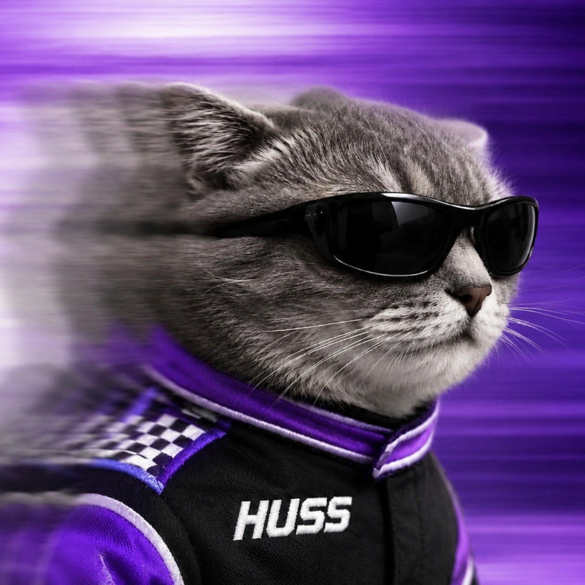 HussMemecoin's tweet photo. $HUSS is just beginning. https://t.co/AsFSXHkdXH