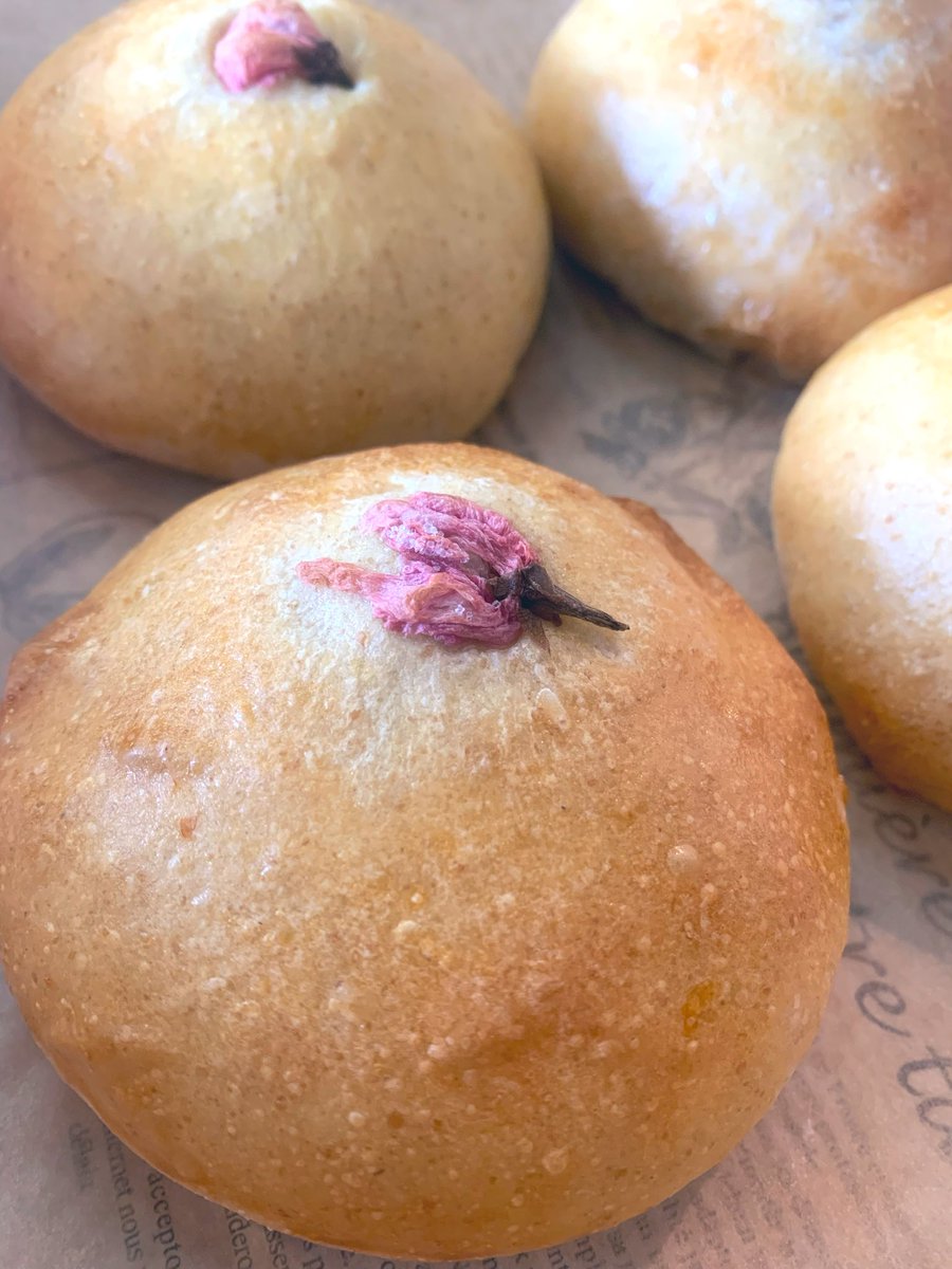 RainbowBreadDay's tweet photo. 本日も焼きたてパン並んでます✨

🌭ウイン��ーパン
🥖ベーコンエピ
🧀クリームチーズのパン（ほんのりコショウ）
🍡白玉あんぱん
本日もお待ちしております☺️

#飯能 #名栗 #ベーカリー #パン屋 #天然酵母パン https://t.co/ffjNcwzebb