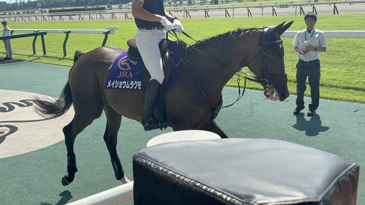 UURPdZhqDJ968ql's tweet photo. 残念😭

メイショウムラクモ
誘導馬デビュー馬場入り出来ず
退散😢

#新潟競馬場 https://t.co/nL0IWX3Ami