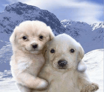 vAlmex_706_1's tweet photo. Como fue el abrazo de Lin /// Como lo sintió Cap https://t.co/oen2f2qOSH