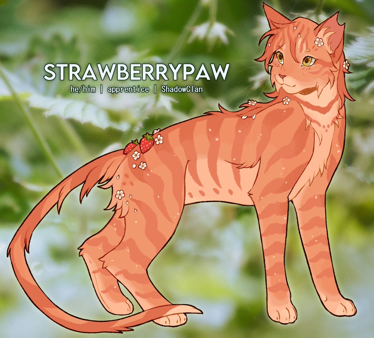 ang3lsbride's tweet photo. strawberrypaw #warriorcats #oc https://t.co/WAJK9qMHwF