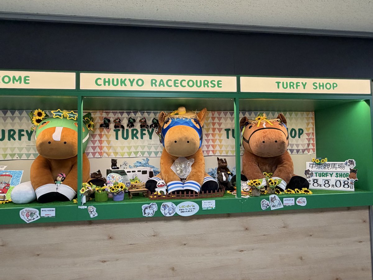 Shin73231471's tweet photo. 実家に寄ったついでに、夏の中京競馬場へ
#中京競馬場 https://t.co/9PebECnqm3