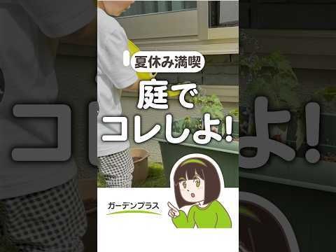 gardenplus1214's tweet photo. 新しい動画を投稿しました🌟外構プロが聞いた！ #夏休み にお庭で出来ること10選🍉　#庭

https://t.co/HR05YOkZhn
詳しくは動画をチェック👀
#ガーデンプラス #Youtube #外構 https://t.co/BNquTTFSob