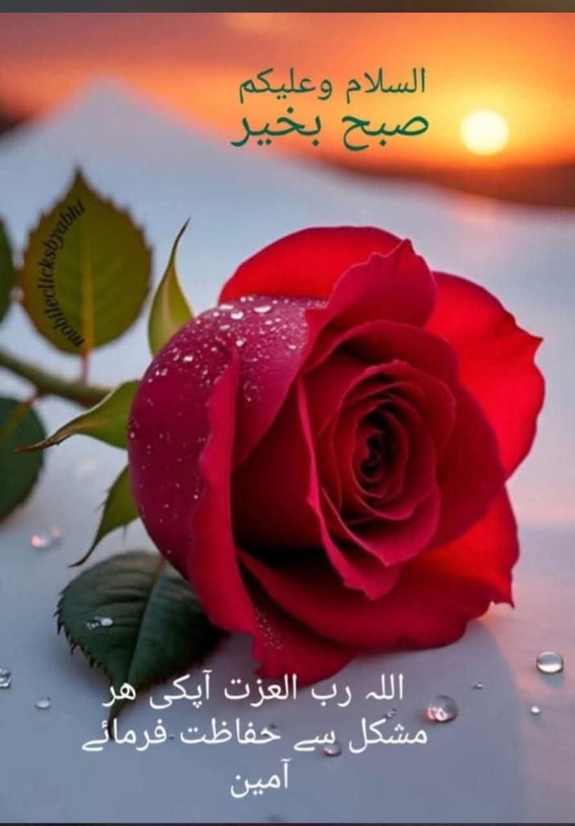 Harisdarwesh's tweet photo. السلام علیکم ورحمتہ اللہ وبرکاتہ https://t.co/Mj4t6VkZnQ