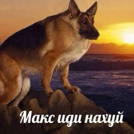 first_masSK's tweet photo. @Maksssks @ytrav_alt https://t.co/l6emQSLc3u