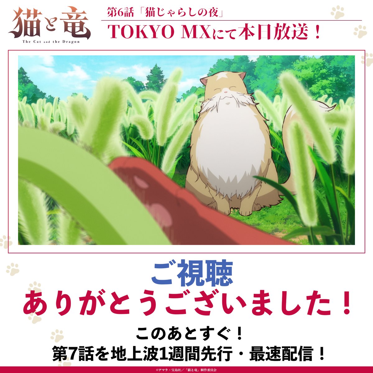 猫と竜 第6話 ツイート画像 1