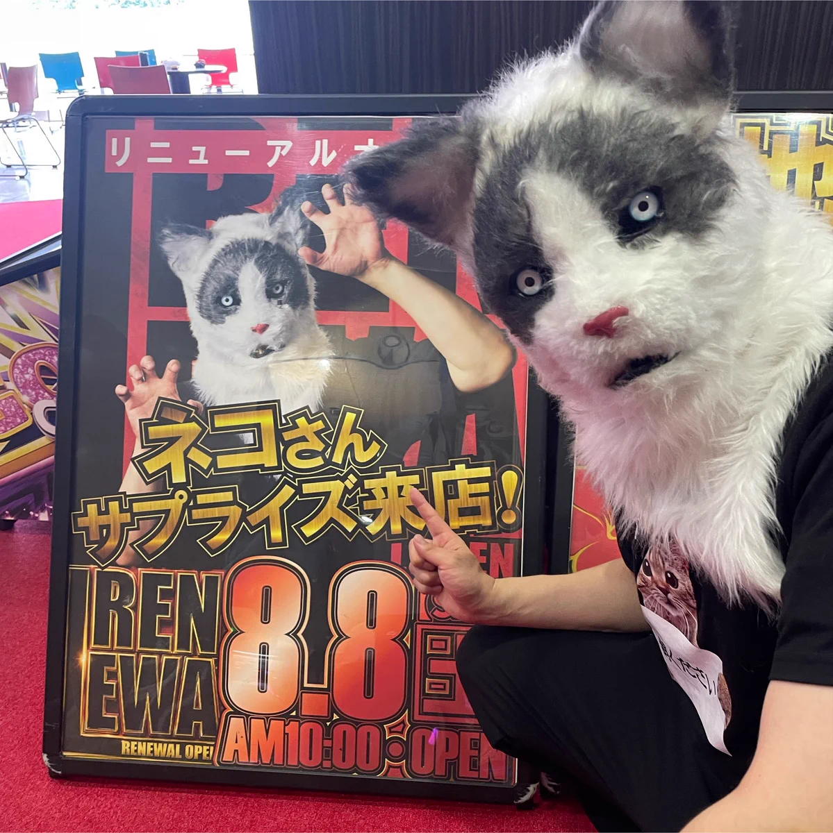 ネコさん 株式会社Neko Create取締役 on X: 