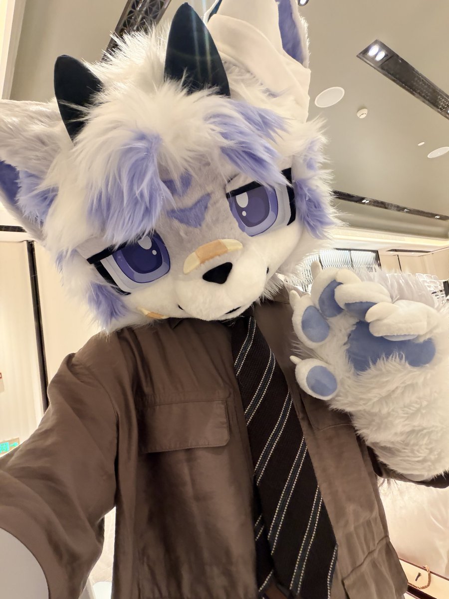 KRETIONxwx's tweet photo. 闪现fgo的芋头小狗一只 https://t.co/FoBOZDUQFD