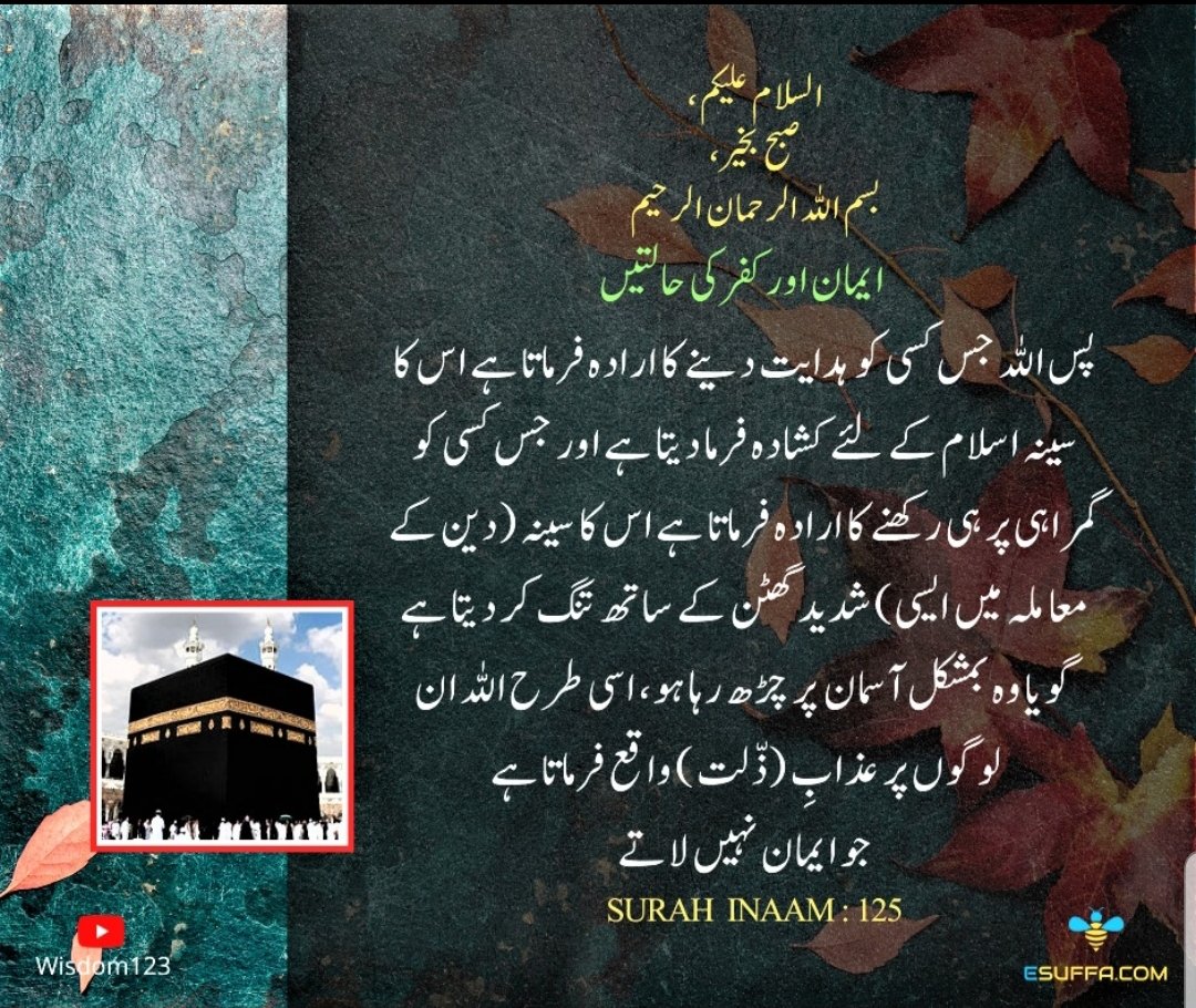 Pak_4_ever's tweet photo. ❤️ السلام علیکم 💚
صبح بخیر https://t.co/nf2nvrUyRx