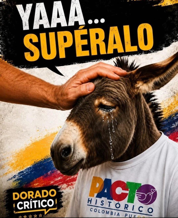 Especialforces3's tweet photo. @SLondono00 @ABDELAESPRIELLA @PizarroMariaJo @MafeCarrascal @carolinacorcho @CarolBordaA @Enrique_GomezM @carogomezsn @Alejoberme0 @GermanRSenador @jrestrp Enfermo mental https://t.co/WyL5UTkuJp