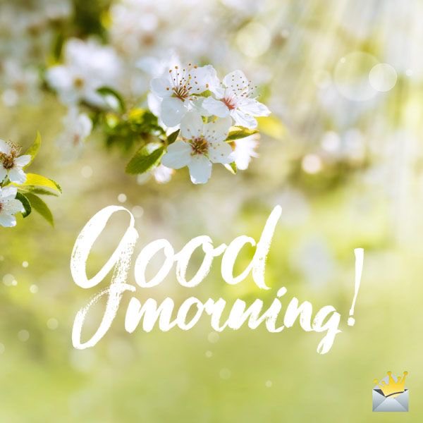 mm70407001's tweet photo. GM mọi người🌤️
Chúc mọi người một ngày tràn đầy niềm vui và bình an! 
Tất cả những điều tốt đẹp nhất sẽ đồng hành cùng mọi người trong ngày hôm nay. https://t.co/DCyXKyDRDN