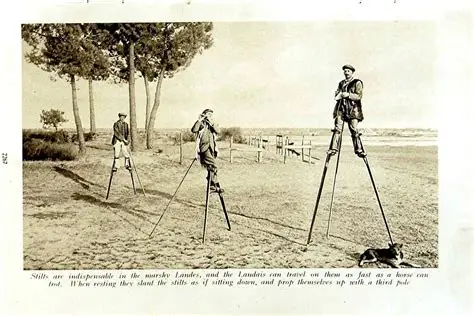 CSallustius's tweet photo. Wonderful stuff, although the Banna were not alone in discovering the shepherding advantages of stilts. French shepherds in the Landes did much the same thing for centuries, not to keep the lions and leopards at bay, admittedly, but to get across the wretched marshy ground. Different continents, different problems, same wonderfully eccentric solution