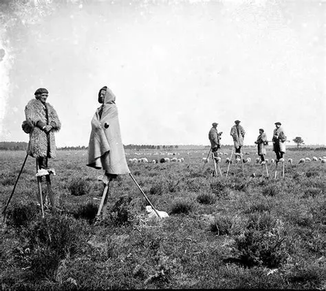 CSallustius's tweet photo. Wonderful stuff, although the Banna were not alone in discovering the shepherding advantages of stilts. French shepherds in the Landes did much the same thing for centuries, not to keep the lions and leopards at bay, admittedly, but to get across the wretched marshy ground. Different continents, different problems, same wonderfully eccentric solution