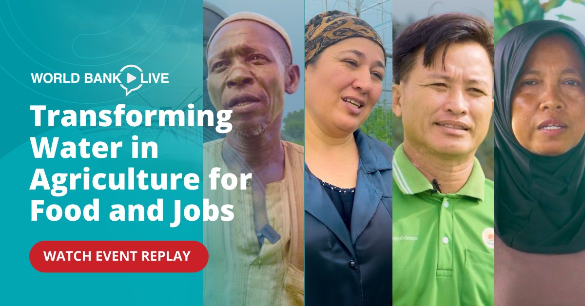 TheGwsp's tweet photo. Missed our event on transforming water for agriculture?

Catch a solutions-focused discussion with practical insights from experts, plus a first look at our new flagship report. 💧🌾

Watch the replay: https://t.co/0ectNPuOCK https://t.co/zW1TYaVuS9
