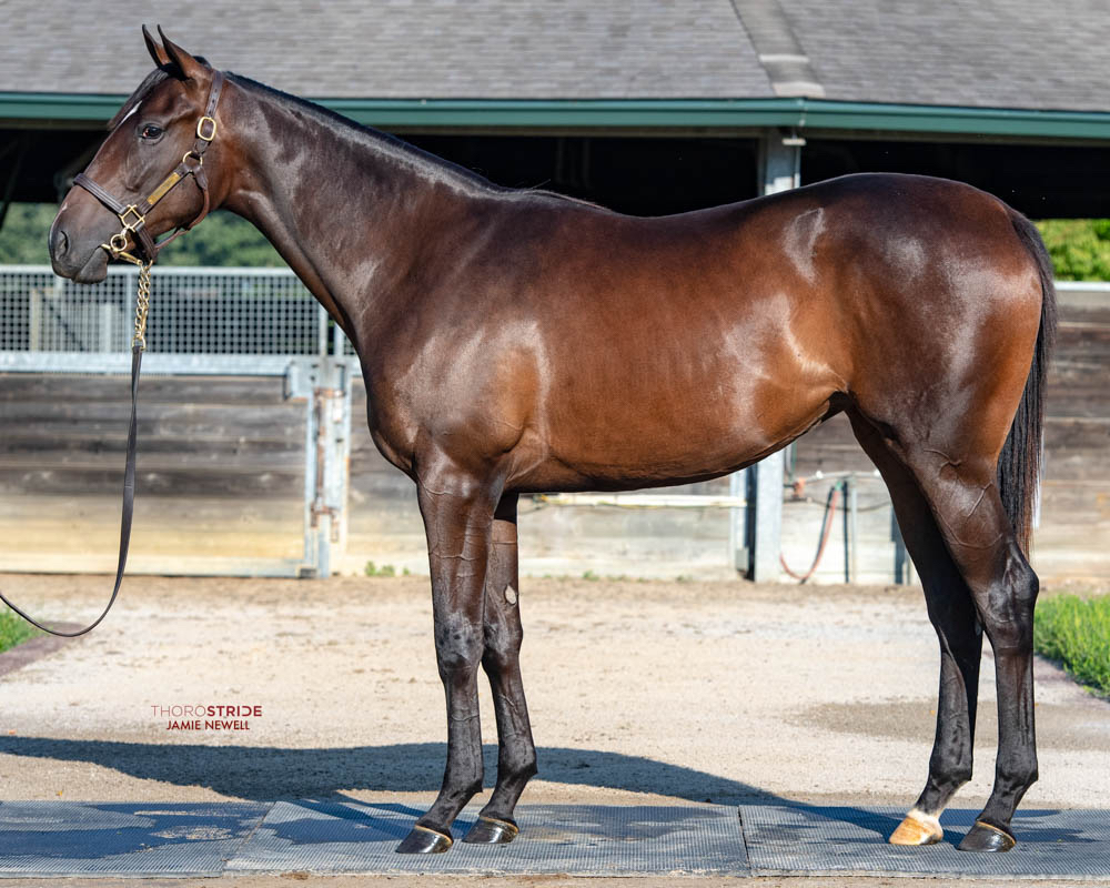 TaylorMadeSales's tweet photo. What a winππ»πͺπβ¨
#TMCONSIGNED KENTUCKY BELLE fought hard down the stretch to win the G2 @fasigtiptonco S. at @saratoga1863! A huge congratulations to all of the connections! #TaylorMadeSales @TheNYRA
O/B: @WinStarFarm https://t.co/5x0IF5CB6n