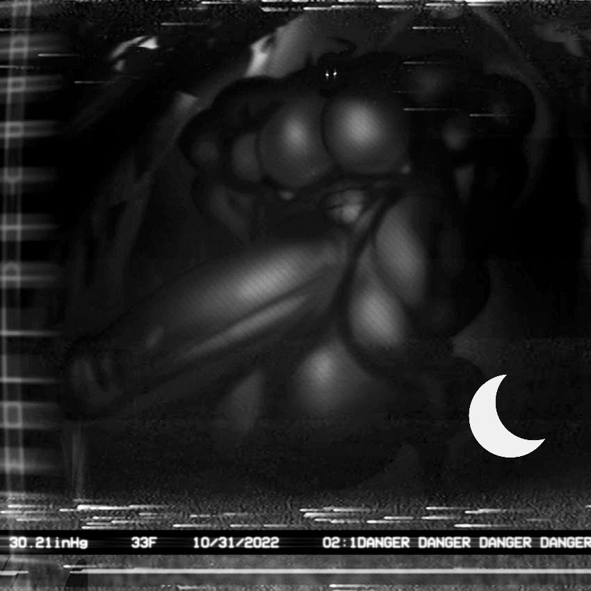HXUNDXFNIGHT tweet picture
