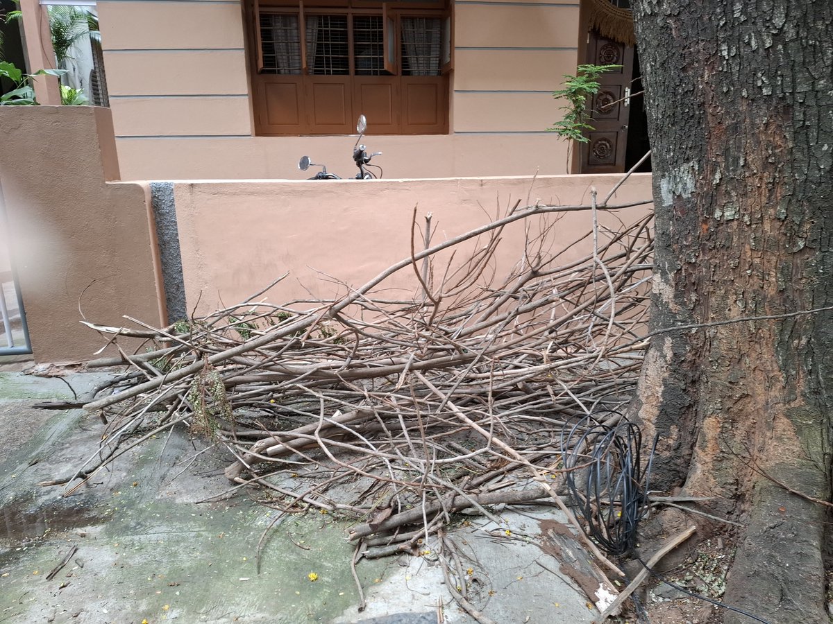 SathyanarayanP9's tweet photo. After cutting the dead wood branch, they have left it on the footpath. It's more than 10 days 
Please clear it.
Address 57/33 7th B Main, next to Flotus Travels, 4th Block Jayanagar 
@GBA_office https://t.co/1pUGxM0zSg