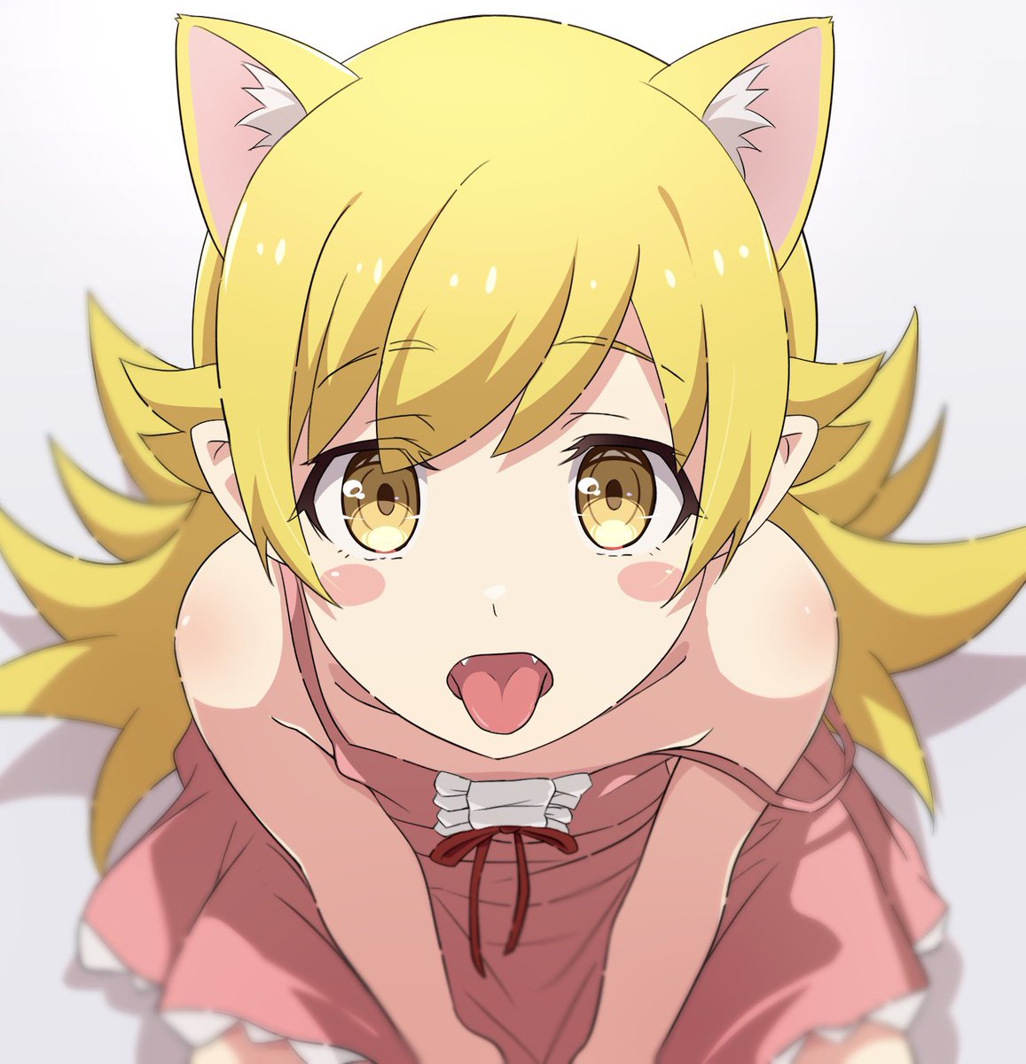 na_suke1104's tweet photo. 世界猫の日 https://t.co/gf3ZWK0bSG