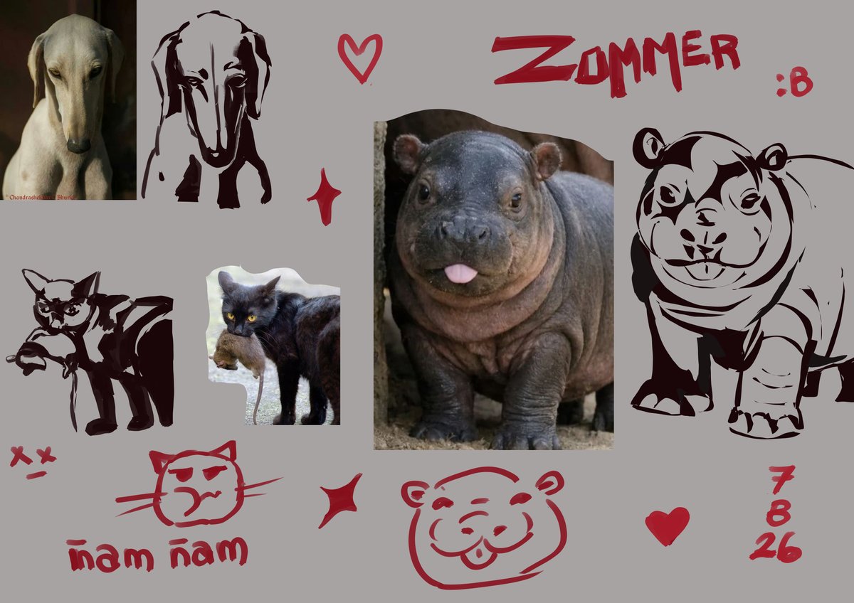 ZommerArt's tweet photo. 07082026 https://t.co/sc7uOF9sLz
